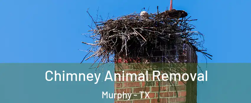  Chimney Animal Removal Murphy - TX