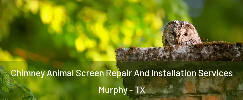  Chimney Animal Screen Repair And Installation Services Murphy - TX
