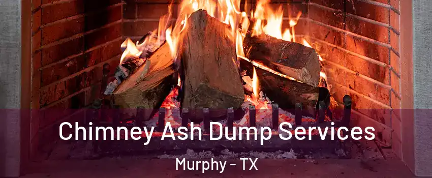  Chimney Ash Dump Services Murphy - TX