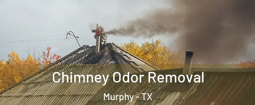  Chimney Odor Removal Murphy - TX