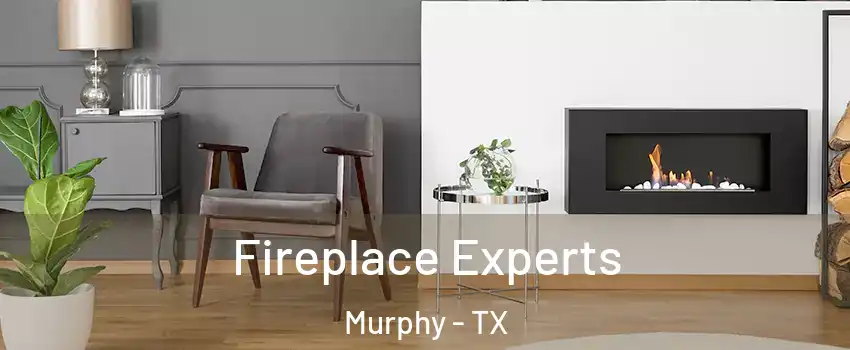  Fireplace Experts Murphy - TX