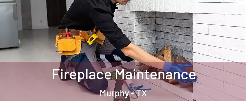  Fireplace Maintenance Murphy - TX