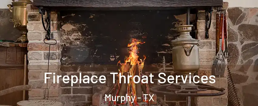 Fireplace Throat Services Murphy - TX