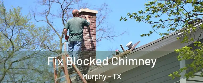  Fix Blocked Chimney Murphy - TX
