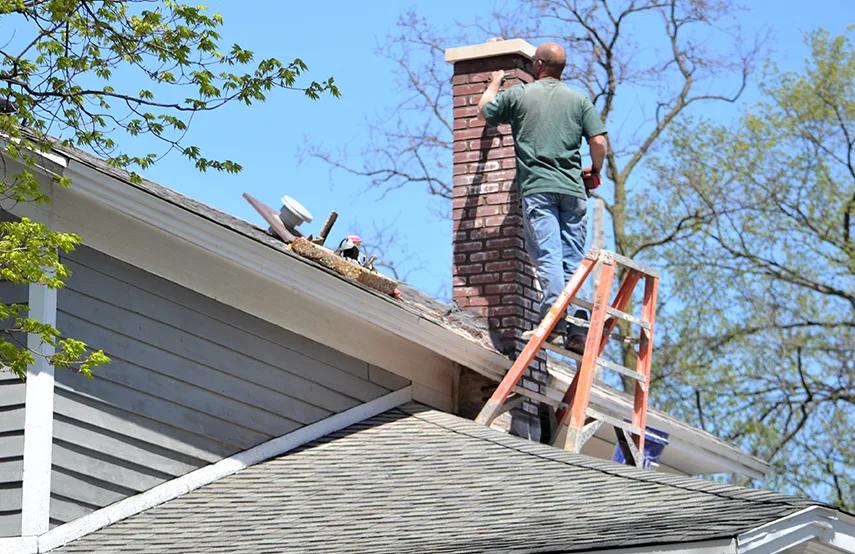 Chimney & Fireplace Inspections Services in Murphy, TX
