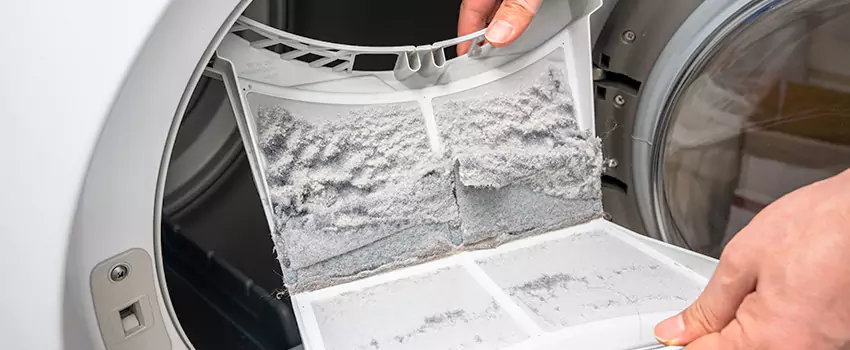 Best Dryer Lint Removal Company in Murphy, Texas