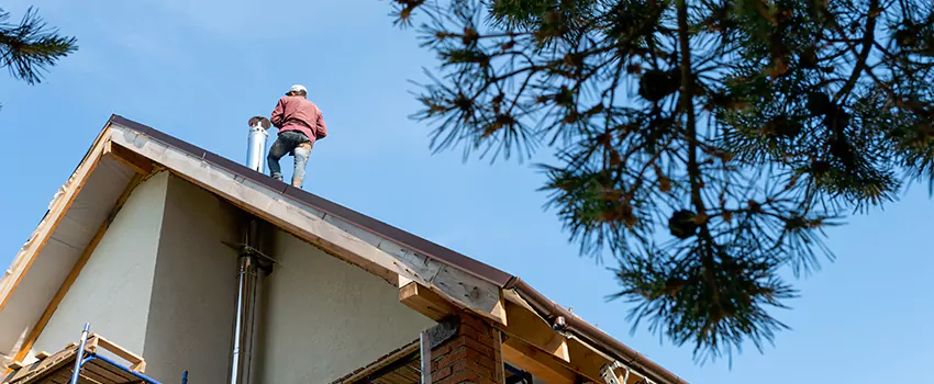 Birds Removal Contractors from Chimney in Murphy, TX