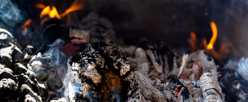 Creosote Removal Experts in Murphy, TX