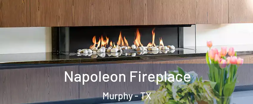  Napoleon Fireplace Murphy - TX